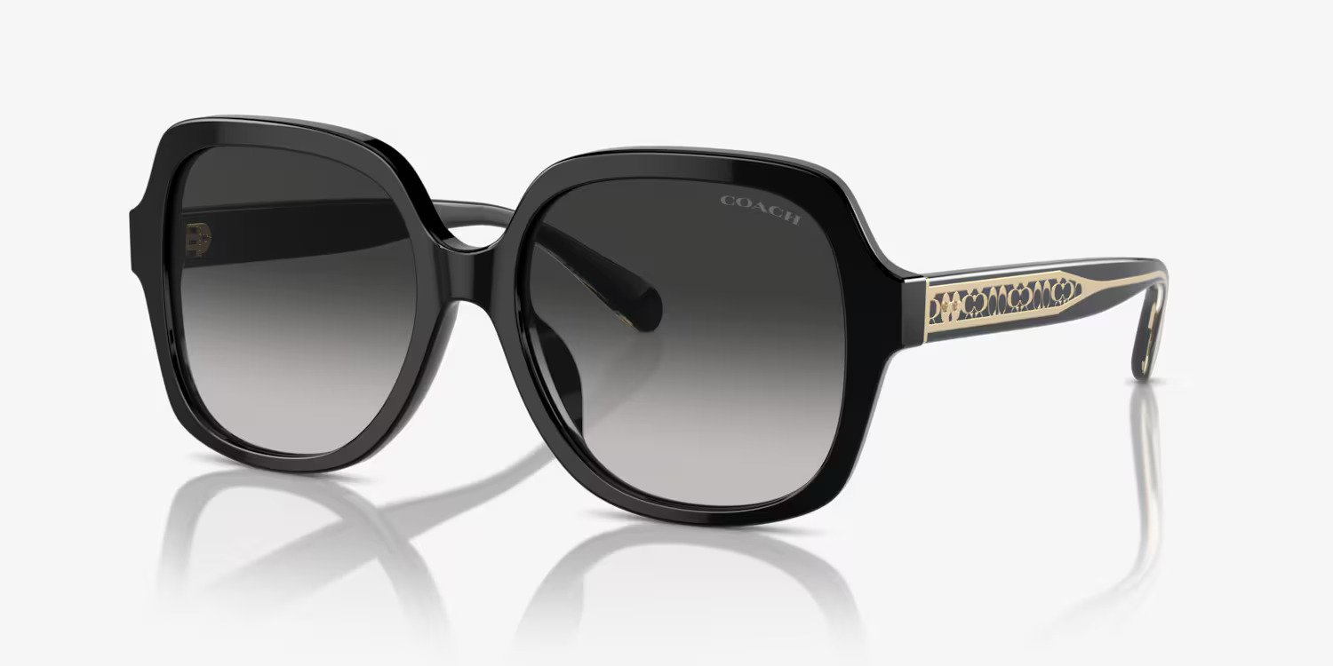 Coach HC8395U Sunglasses